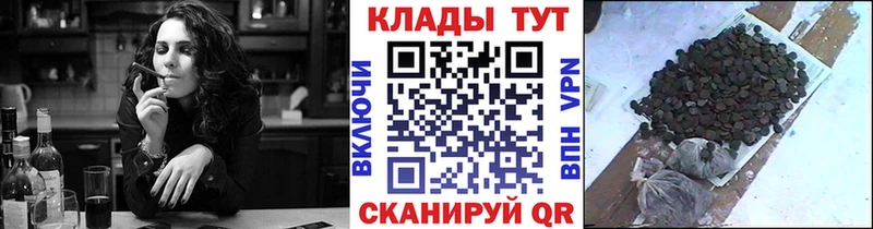 Наркошоп купить APVP Амфетамин МАРИХУАНА Меф мяу мяу Каргополь