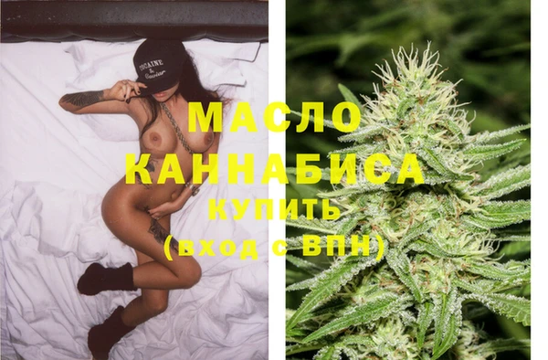 дмт Елабуга
