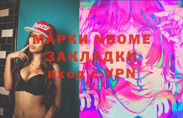 гашик Ельня