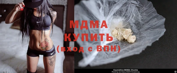 гашик Ельня