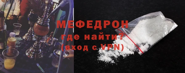 гашик Ельня