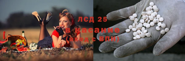 ПСИЛОЦИБИНОВЫЕ ГРИБЫ Елизово