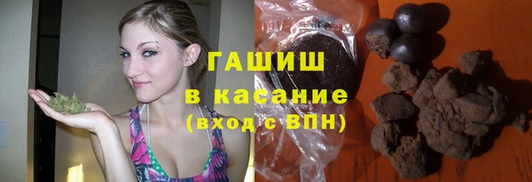 гашик Ельня