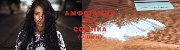 гашик Ельня