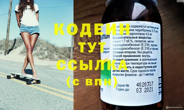 гашик Ельня