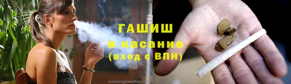 гашик Ельня
