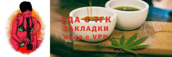 гашик Ельня