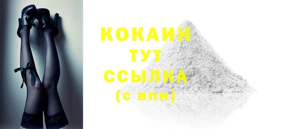 гашик Ельня