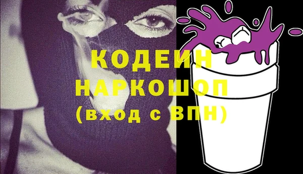 гашик Ельня