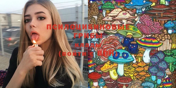 ПСИЛОЦИБИНОВЫЕ ГРИБЫ Елизово