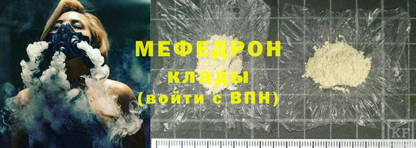 гашик Ельня