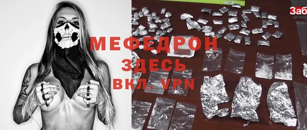 гашик Ельня