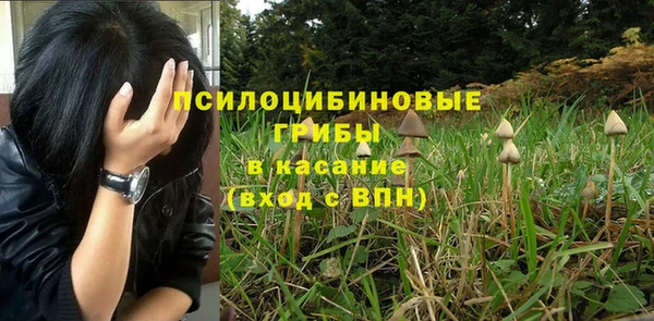 ПСИЛОЦИБИНОВЫЕ ГРИБЫ Елизово