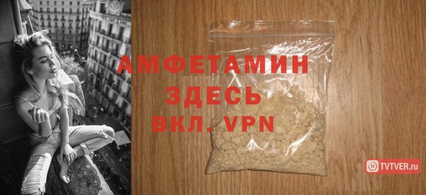 гашик Ельня
