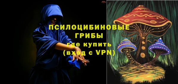 гашик Ельня