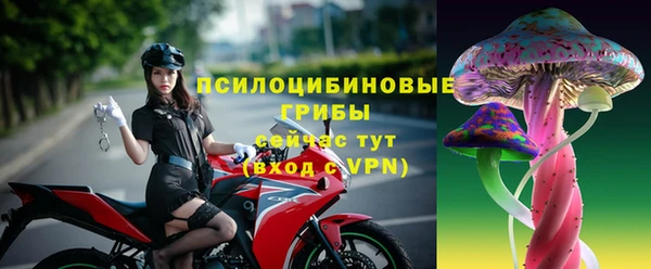 ПСИЛОЦИБИНОВЫЕ ГРИБЫ Елизово
