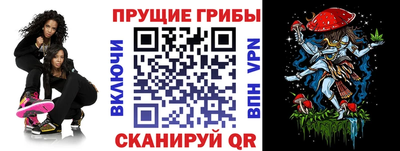 Галлюциногенные грибы мицелий  Купить где  Каргополь 