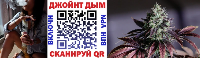 Каннабис план  Купить где  Каргополь 